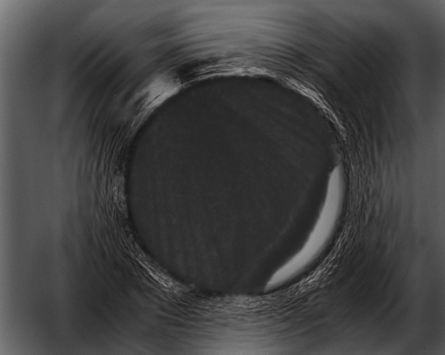 X0000052650881200507160220