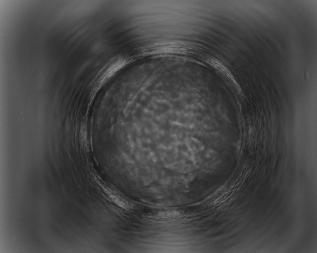 X0000052650882200507160220