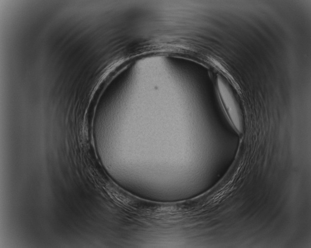 X0000052650883200507160220