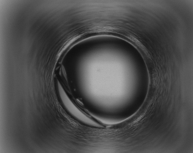 X0000052650885200507160220