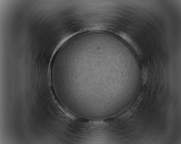 X0000052650886200507160220