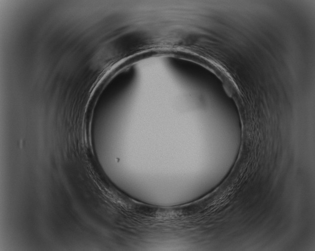 X0000052650887200507160220