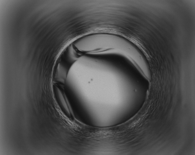 X0000052650888200507160220