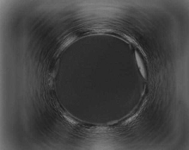 X0000052650889200507160220