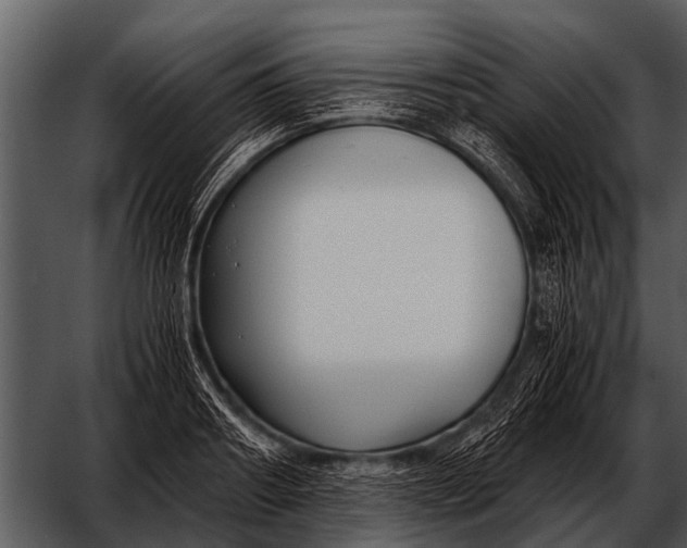 X0000052650890200507160220