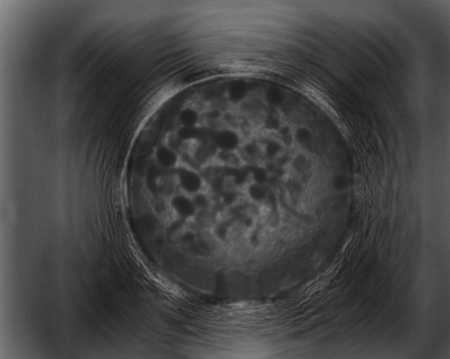 X0000052650891200507160220