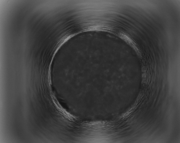 X0000052650892200507160220