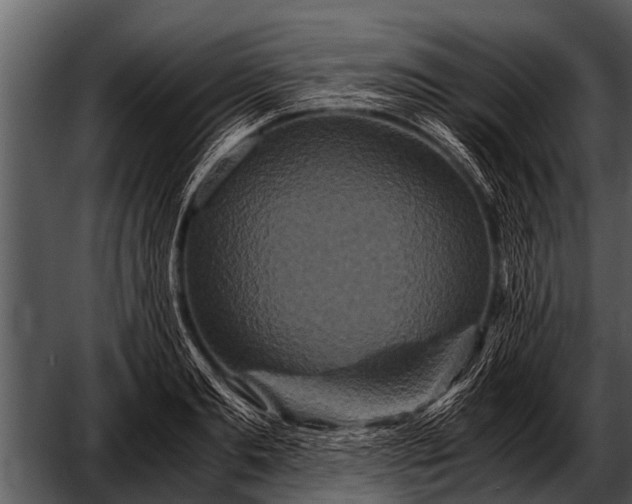 X0000052650893200507160220