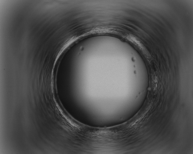 X0000052650894200507160220