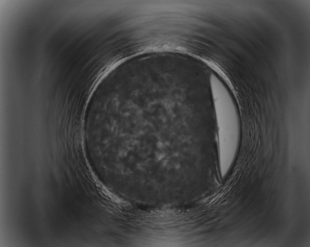 X0000052650895200507160220