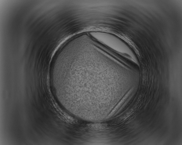 X0000052650896200507160220