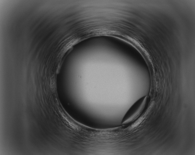 X0000052650897200507160220