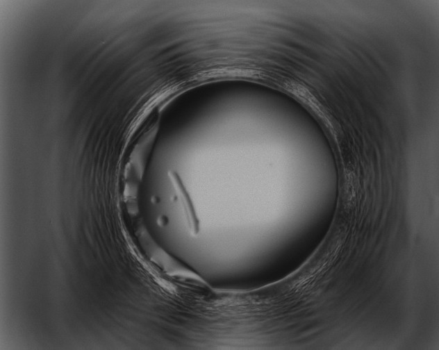 X0000052650898200507160220