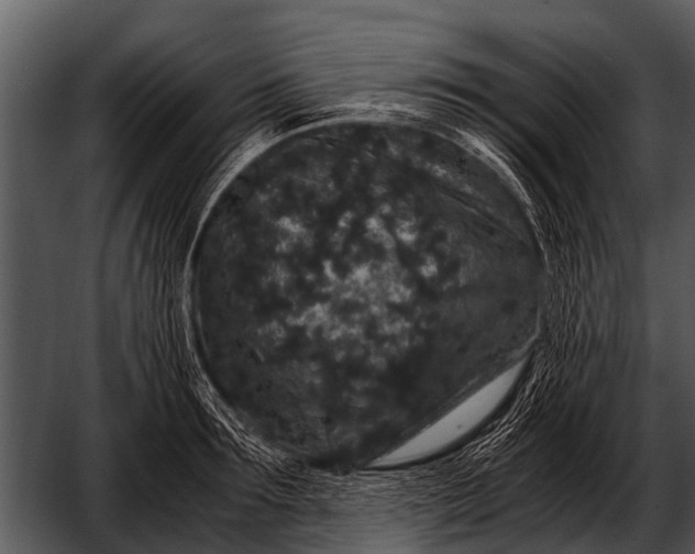 X0000052650899200507160220