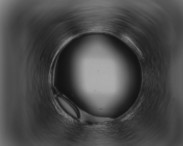 X0000052650900200507160220