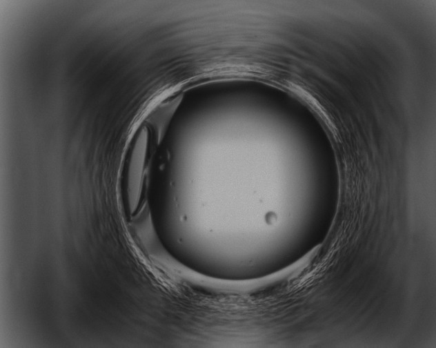 X0000052650901200507160220