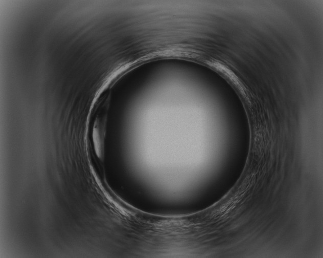 X0000052650902200507160220