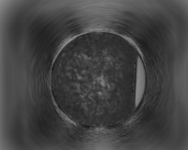 X0000052650903200507160220