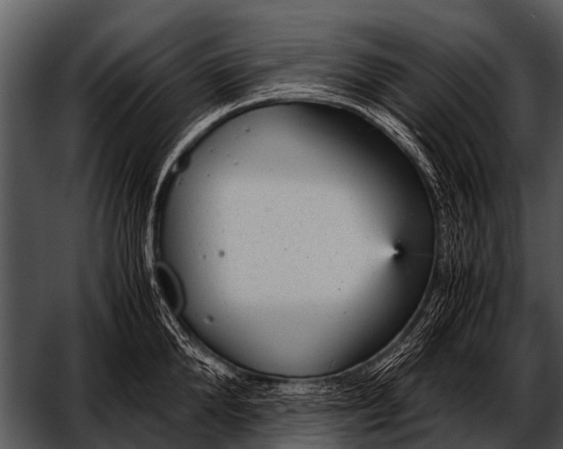 X0000052650904200507160220