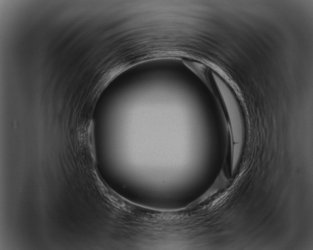 X0000052650905200507160220