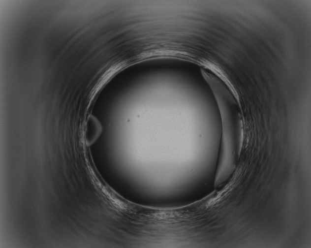 X0000052650906200507160220