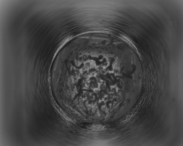 X0000052650907200507160220