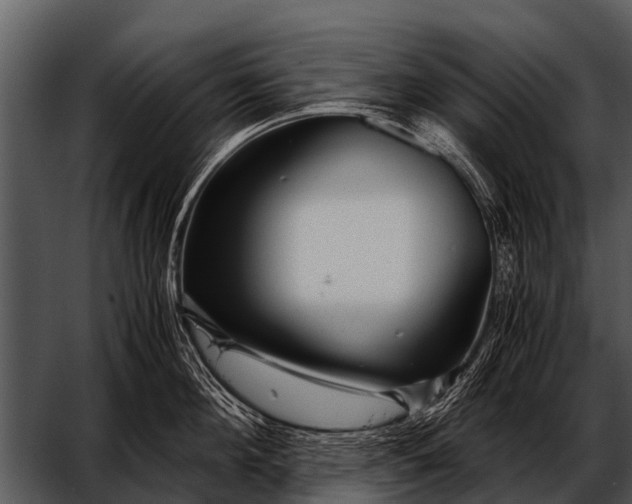 X0000052650908200507160220