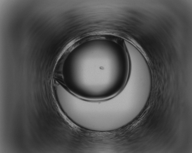 X0000052650909200507160220