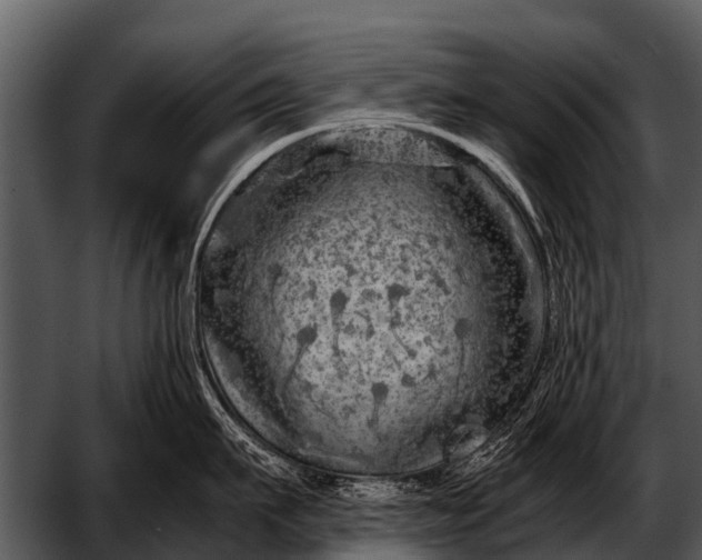 X0000052650911200507160220