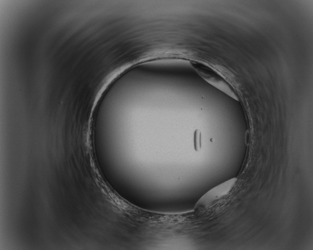 X0000052650912200507160220