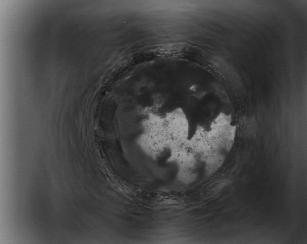 X0000052650913200507160219