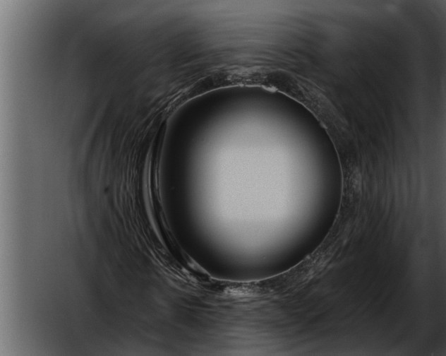 X0000052650914200507160219