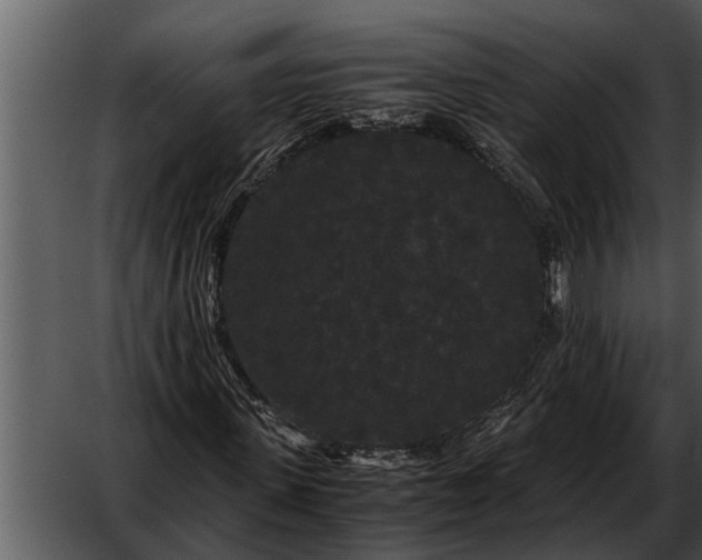 X0000052650915200507160219