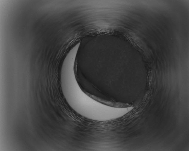 X0000052650916200507160219