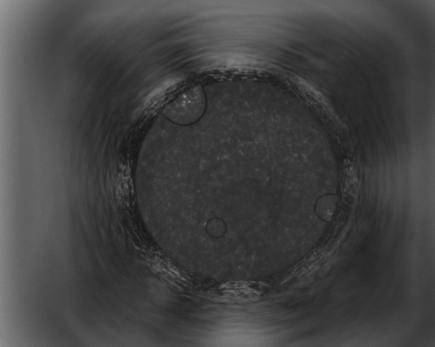 X0000052650918200507160219