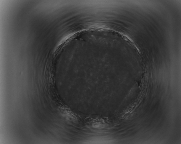 X0000052650919200507160219