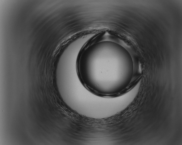 X0000052650920200507160219