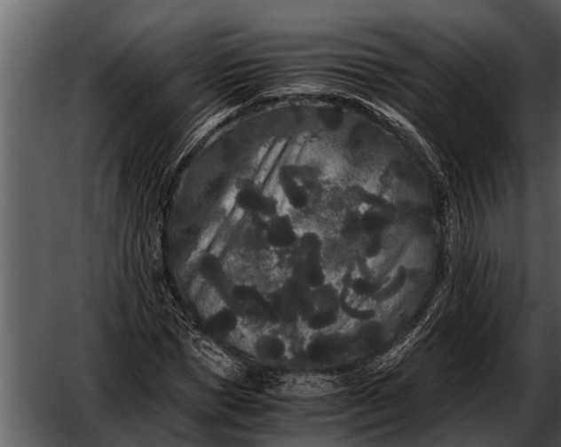 X0000052650921200507160219