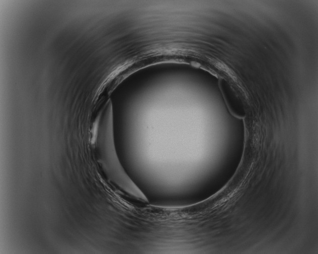 X0000052650922200507160219