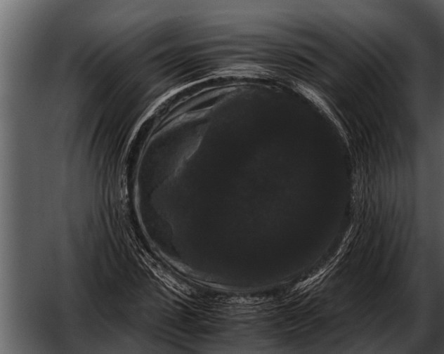 X0000052650923200507160219