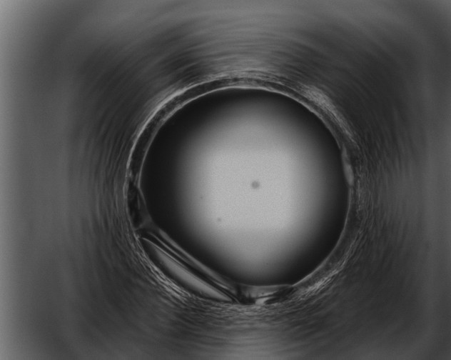 X0000052650924200507160219