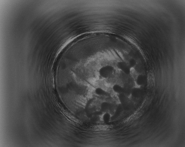 X0000052650925200507160219