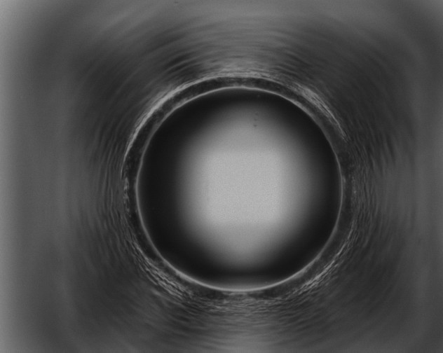 X0000052650926200507160219