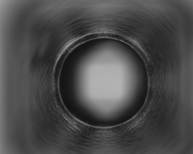 X0000052650927200507160219