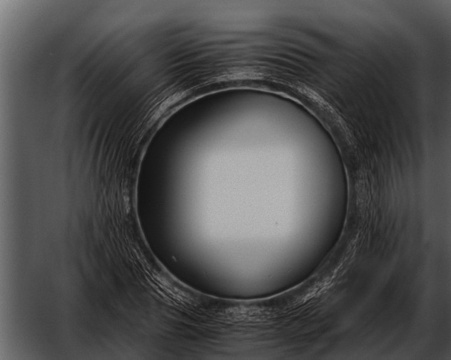 X0000052650929200507160219