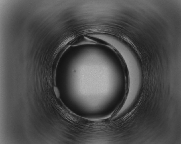 X0000052650930200507160219