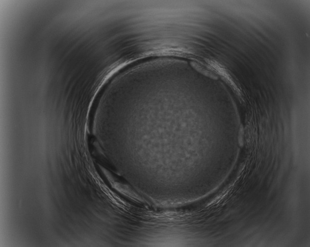 X0000052650932200507160219