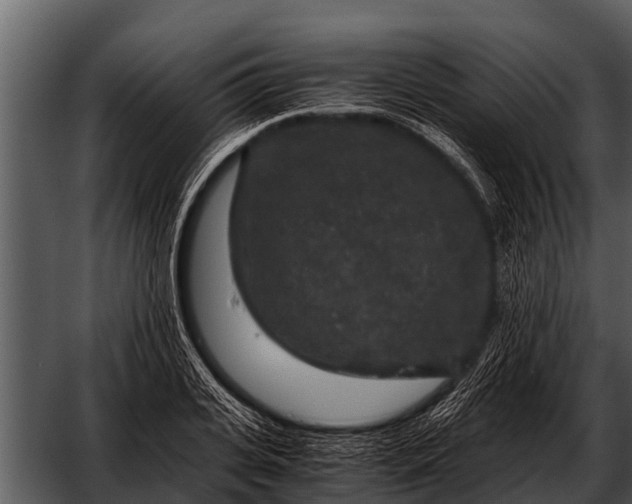 X0000052650935200507160219