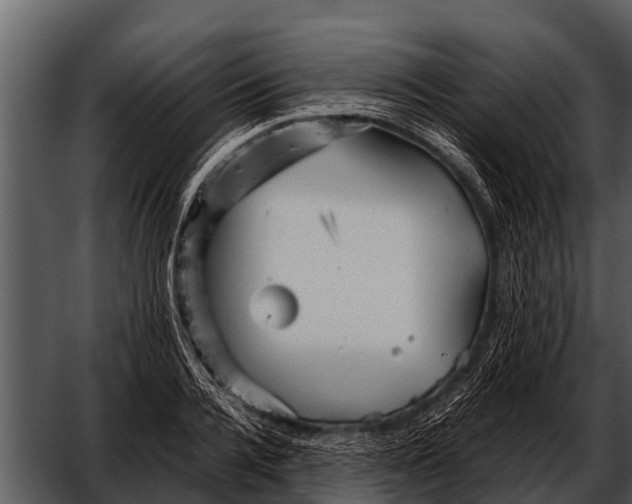 X0000052650936200507160219