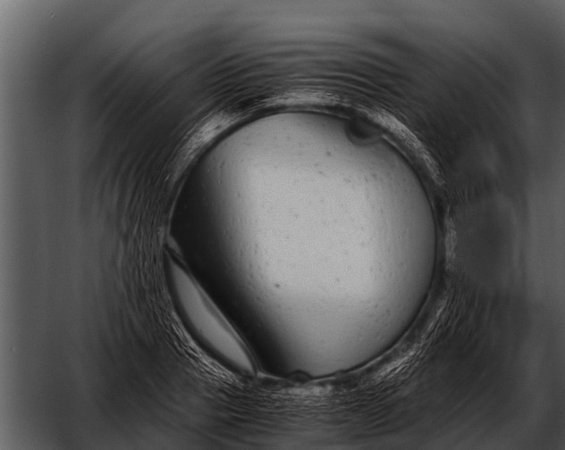 X0000052650937200507160219